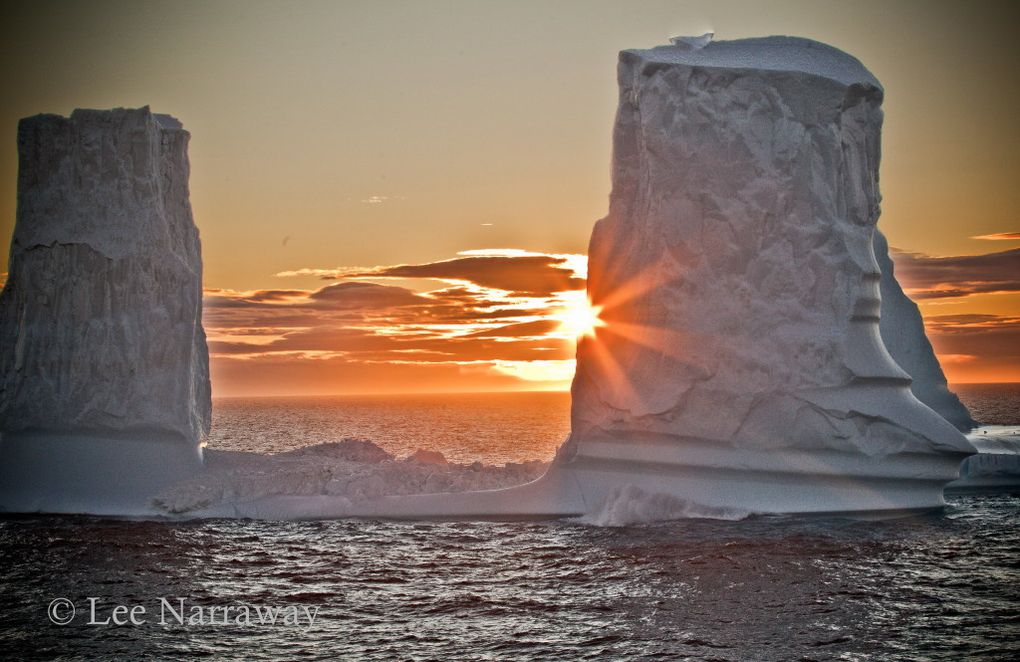 Voyage en Arctique‏