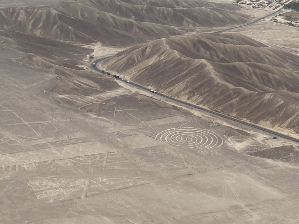 Les Llamitos à Nazca