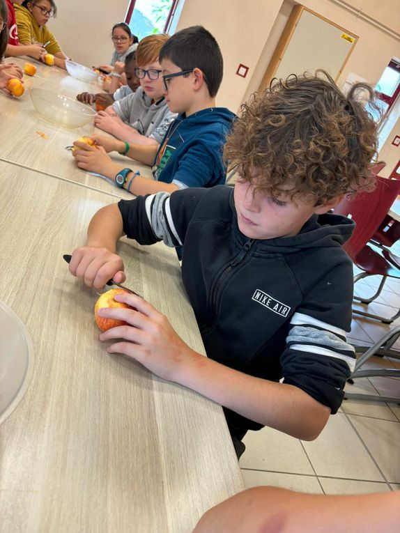 Ce matin nous avons nourri les moutons et cuisiné une recette typique. Cette après midi petite visite des animaux de la ferme. Les oiseaux  Et ensuite fabrication d’un attrape rêves et dégustation de nos rabottes ( spécialité ardennaise )