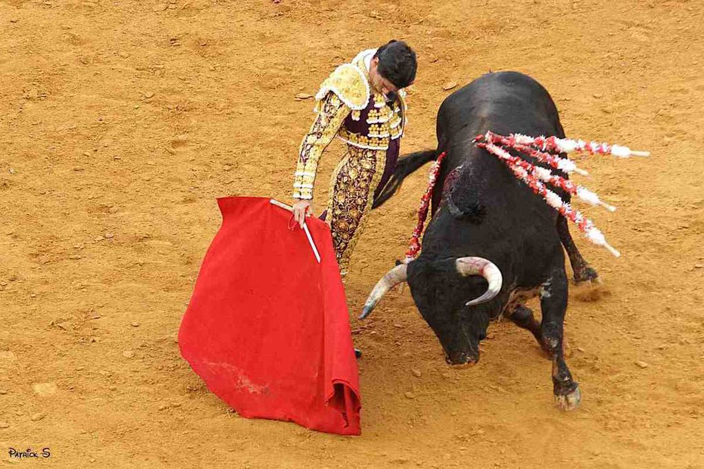 DAX. TOROS y SALSA – 2