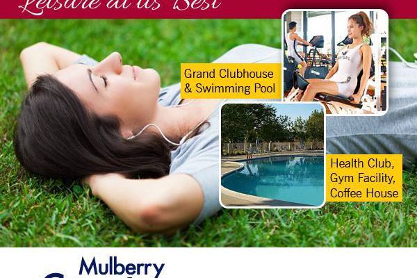 Enjoy Nature Like Never Before with Mulberry County from MGH