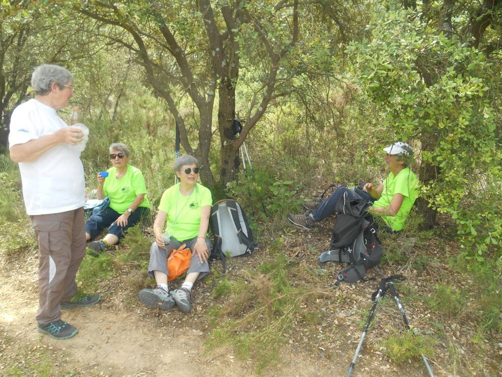 Rando du 2/06/2025 Bramefan-Gardanne Fuveau