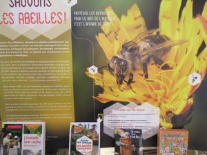 A la découverte des abeilles
