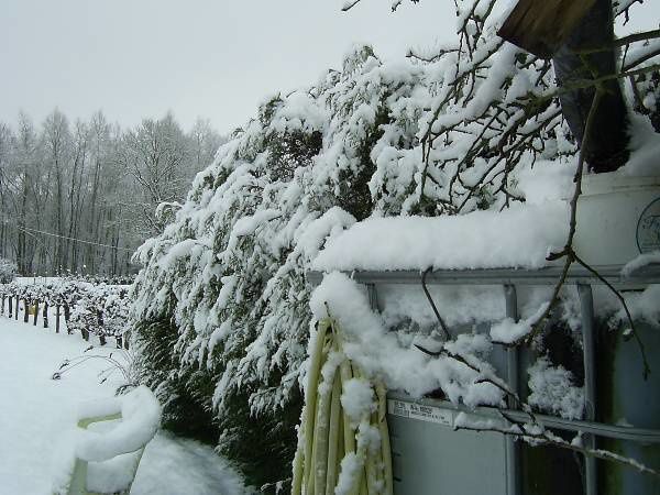 Découvrez notre maison sous 20 cm de neige !