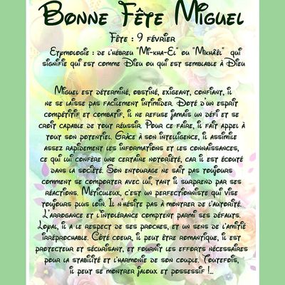 Carte Bonne Fête Miguel - 9 février