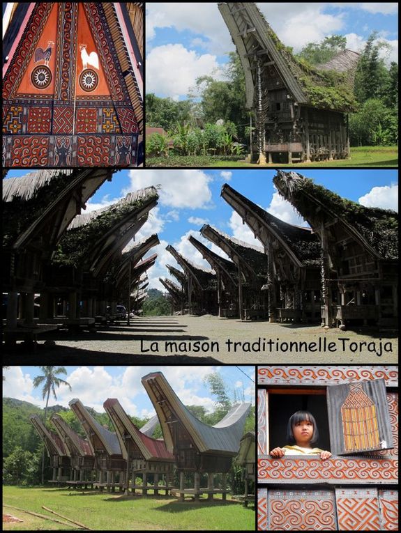 Album - 30---Centre-Sulawesi---Toraja