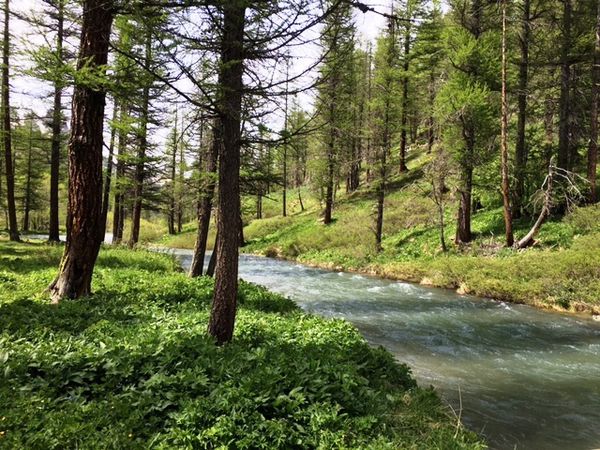 Le grand Briançonnais : Etape IV - La vallée de la Clarée