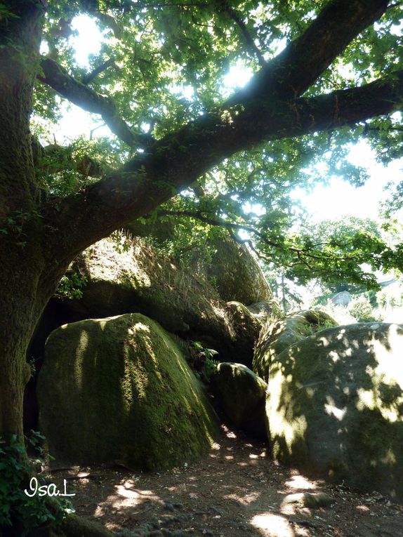 Huelgoat, forêt de légendes