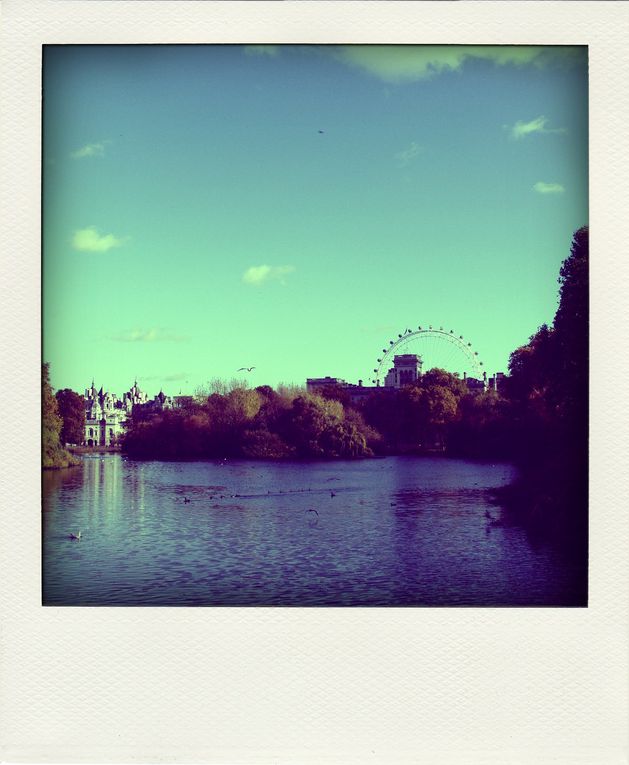 Album - LONDON-POLAROID