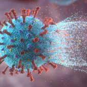 Covid-19 : une première contamination au variant du virus détectée en France