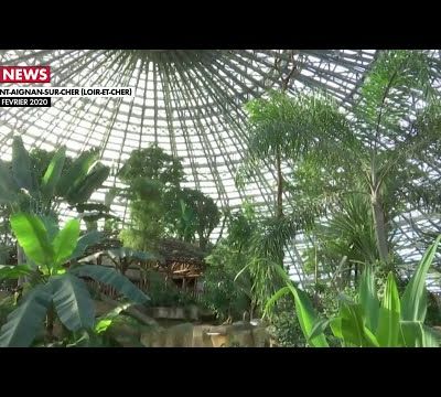Le zoo de Beauval inaugure un dôme équatorial