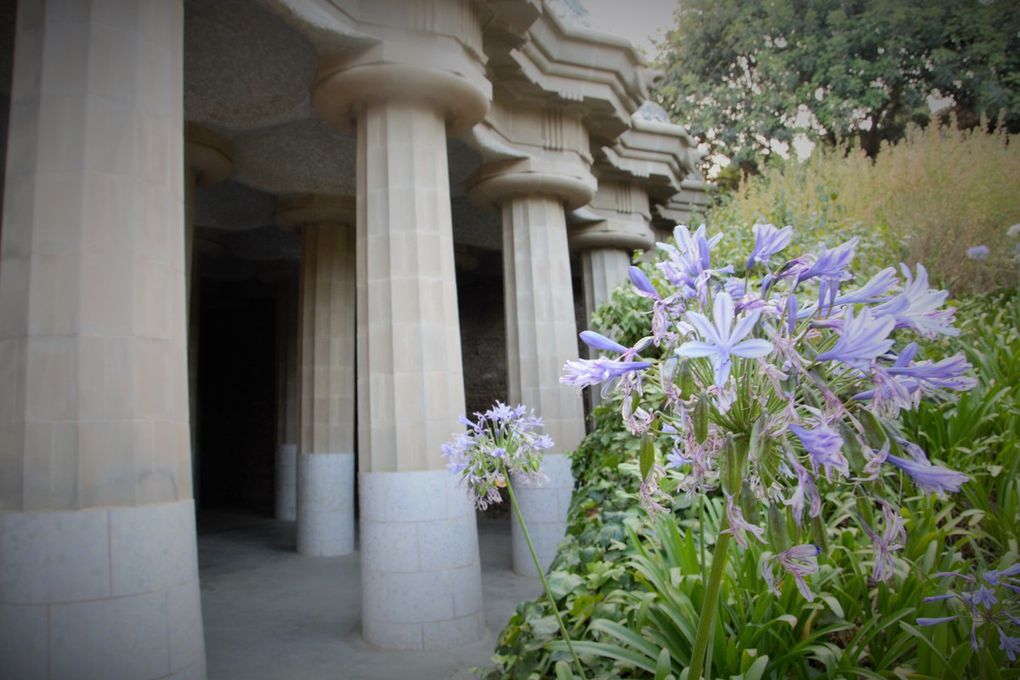 Un jardin exceptionnel mais aussi inachevé.