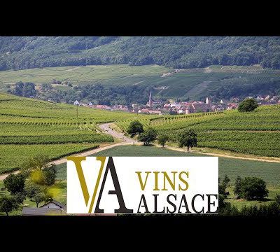 Naissance d'une nouvelle signature pour Vins Alsace... le film !