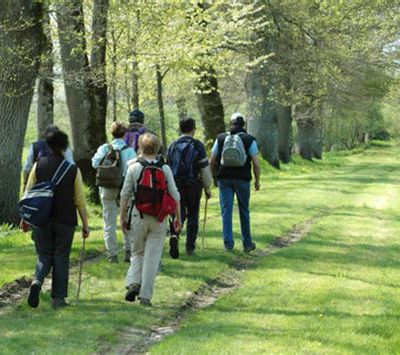 Promenades, rencontres et découvertes