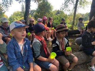 Sortie scolaire des maternelles aux jardins de Brocéliande (suite)