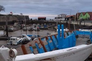 Retour de l'île d'Oléron avec Anne-Marie (7)