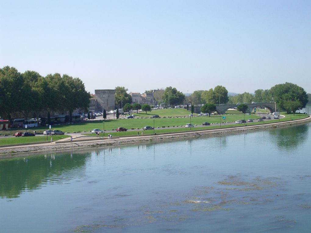 Entre cité des papes et comtat venaissin...les vignes, le soleil et la lavande !