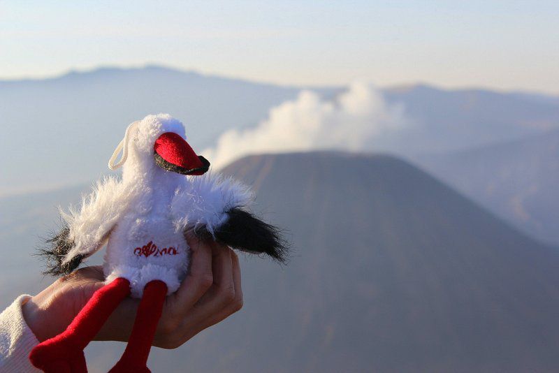 THE BROMO VOLCANO