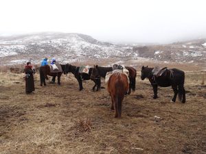 Gansu Sud - Langmusi