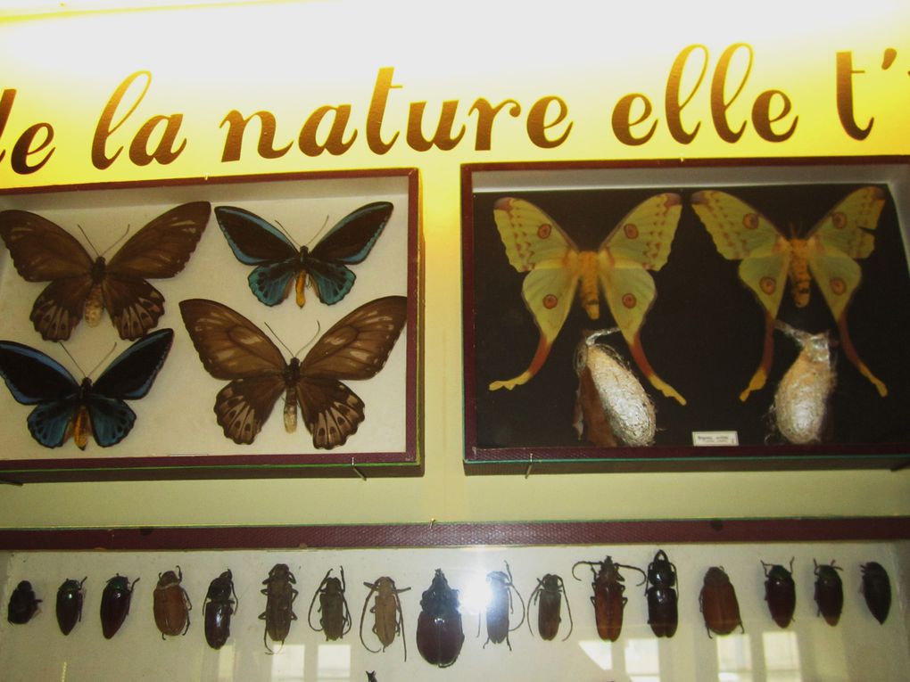 ste CECILE LES VIGNES  et son musée dedié a son instituteur monsieur LOUIS GAUTHIER  entomologiste , archeologue .
