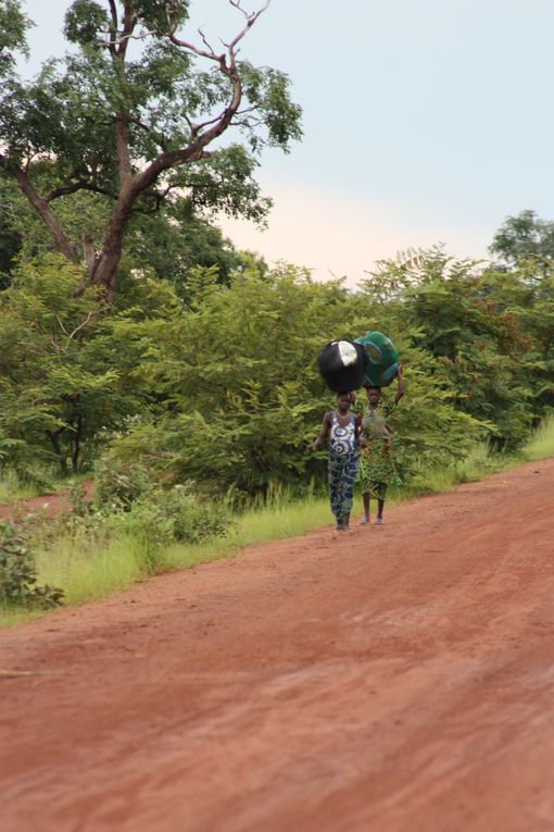 septembre au sénégal : 3 semaines en amoureux, de kédougou à popenguine