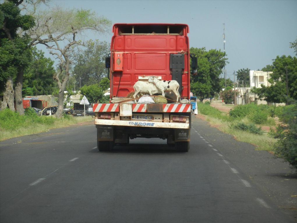 Album - Sud est du senegal