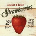 Le blog des Fraises des bois