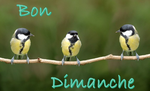 Le billet du dimanche ............<