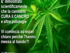 Legge su cannabis terapeutica