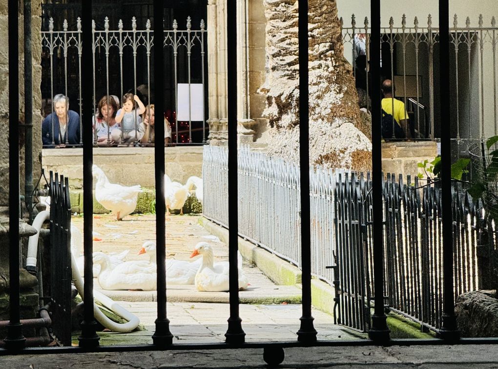 Virée dans/Volt pel Gòtic : les photos/ les fotos...