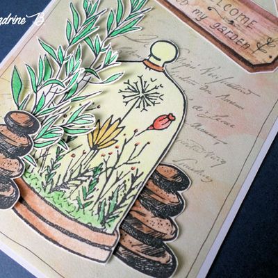 Défi 850 de Passion Cartes Créatives