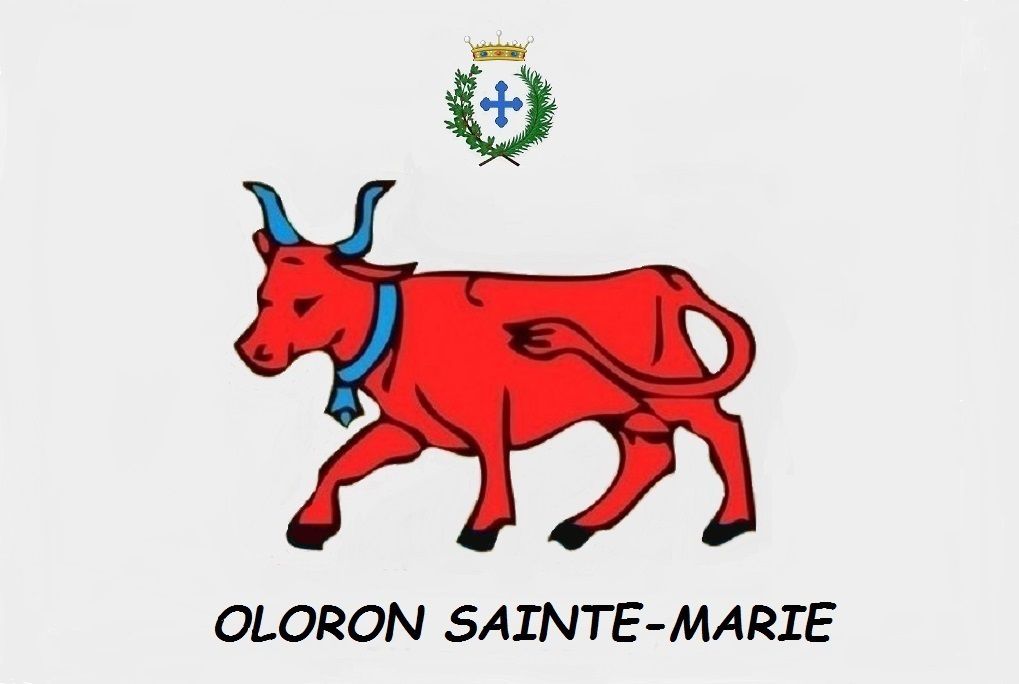 Conseil Municipal Oloron Sainte-Marie, le 12 décembre 2018