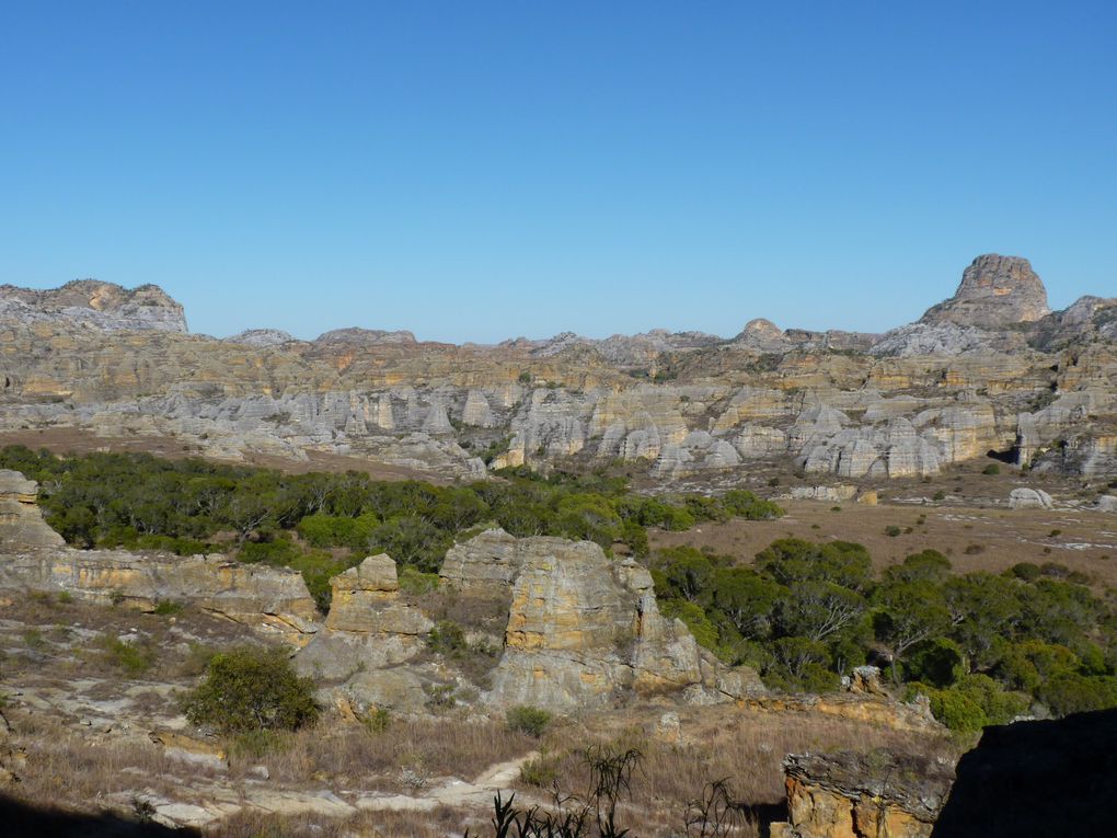 Ranomafana, Anja, Isalo : les 3 parcs que nous avons découverts le long de la RN7.