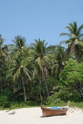 Album - koh-lanta