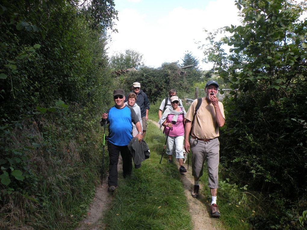 marche au bois des Beysses