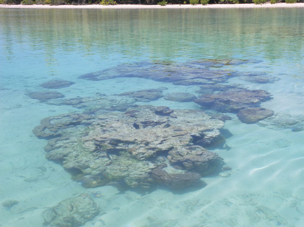 "L'île aux neufs yeux"