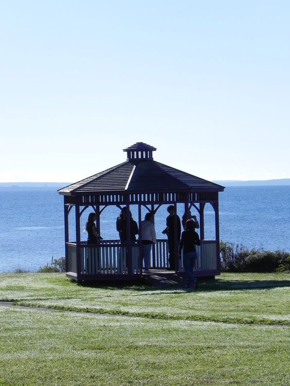 Prince Edward island envahi par 26 étrangers !