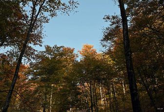 L'automne est à nos portes et je reviens comme les oiseaux migrateurs