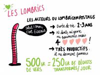 Les Lombrics du Bout d'la Rue