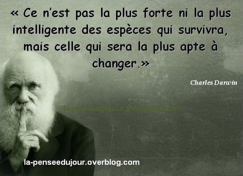 La Pensee Du Jour