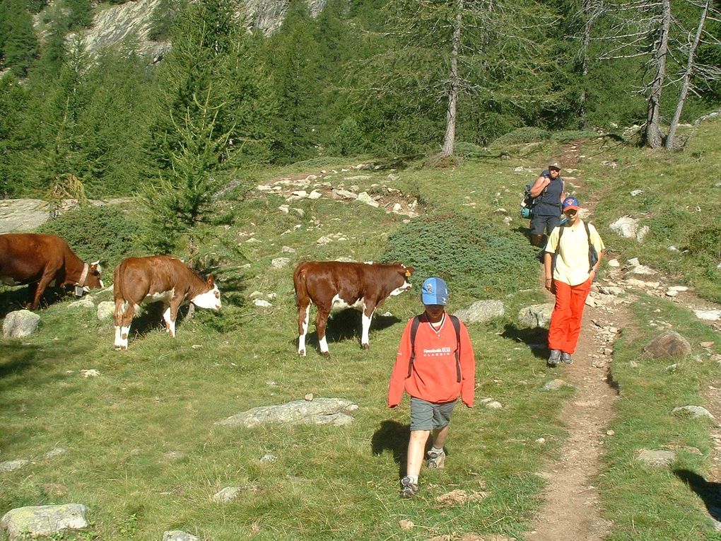 Photos d'activités dans la nature, montagne, campagne, rivière... Photos personnelles gratuites et libres de droits.