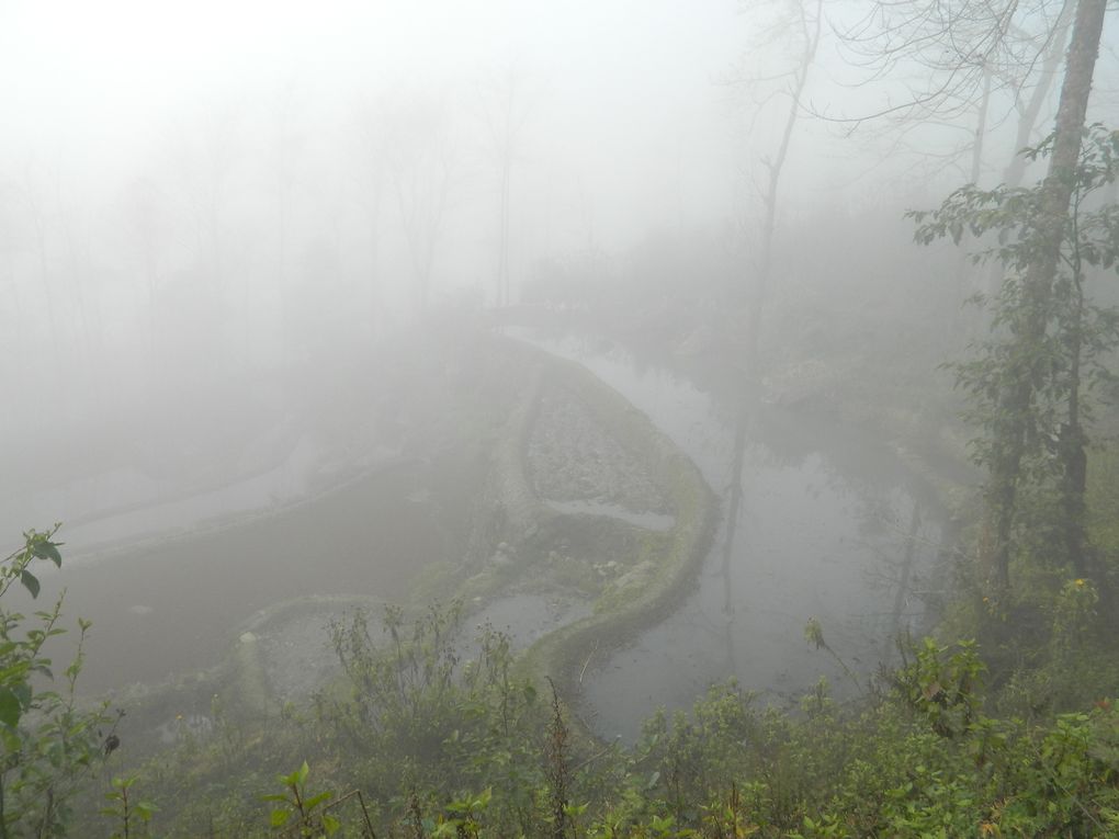 Un pur régal que de se balader au hasard dans les environs de Yuanyang à la découverte des rizières en terrasse, au lever ou coucher du soleil, souvent dans la brume...