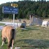 Le col de jau