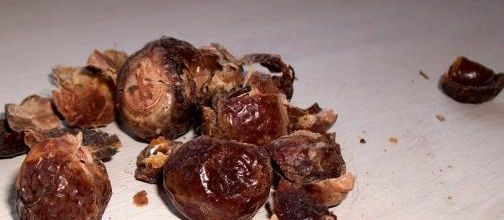 Côté Lessive : les noix de lavage