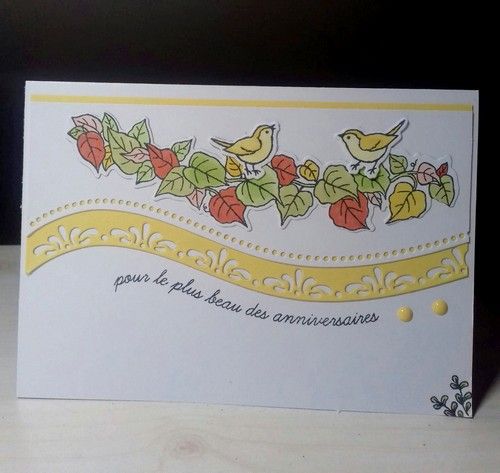 Carte Anniversaire Femme Le Blog De Cathy