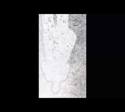 Expérimentation poétique diffusée dans le cadre de la soirée Time Lapse-Arts Visuels et Performance le 26 novembre à Evry.