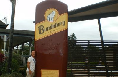 Bundaberg et la ponte de la tortue !