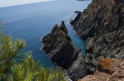 LE SENTIER DU LITTORAL BANYULS SUR MER A CERBERE