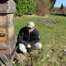 Stage d'apiculture