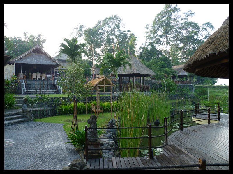 Rizières de Jatiluwih, Ulun Danu Temple, ...